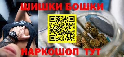 индика Дубна