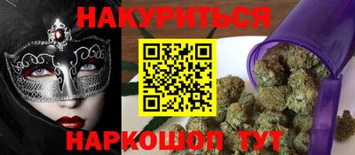 индика Дубна