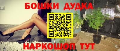 индика Дубна