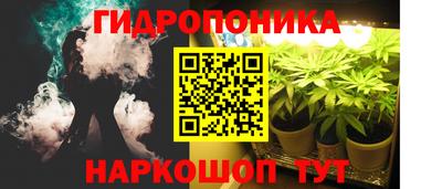 индика Дубна