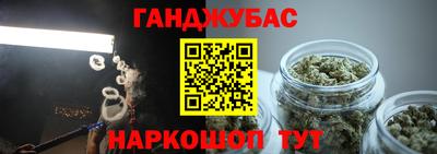 индика Дубна