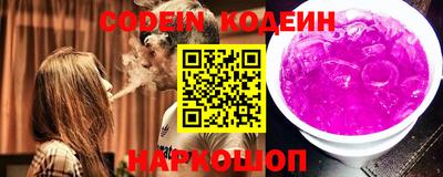 индика Дубна