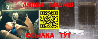 индика Дубна