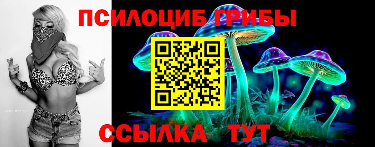 Галлюциногенные грибы MAGIC MUSHROOMS Искитим