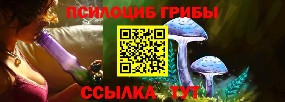 Искитим  Псилоцибиновые грибы Cubensis  цены   Вход с VPN  Галлюциногенные грибы Cubensis 